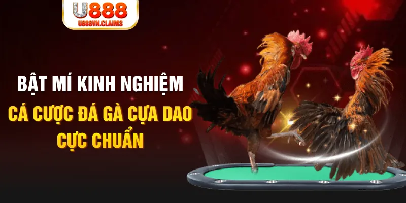 5mb bet trong baccarat, ai là người chia bài chính？
