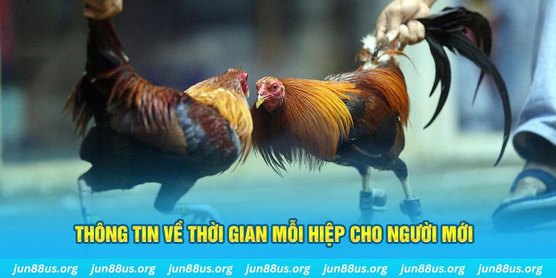 5mb bet Long Hổ 2