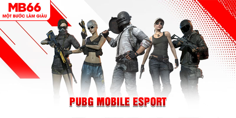 5mb bet gà chọi c1 mới nhất