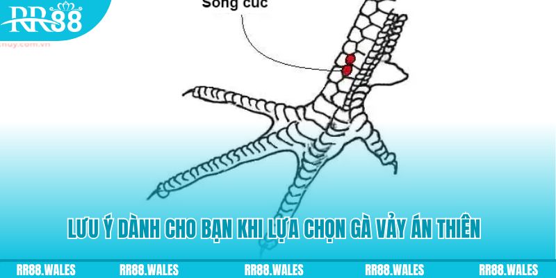 5mb bet how to play roulette at casino