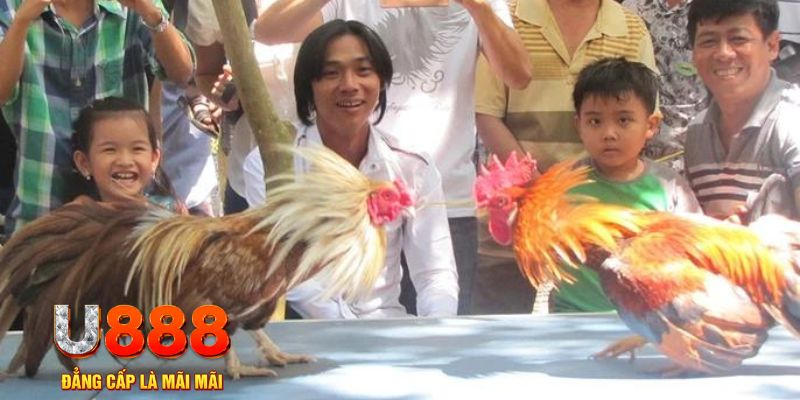 5mb bet mơ thấy nổ hũ đánh con gì