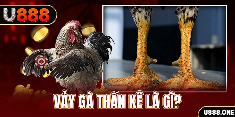 5mb bet xổ số miền bắc thứ tư hàng tuần