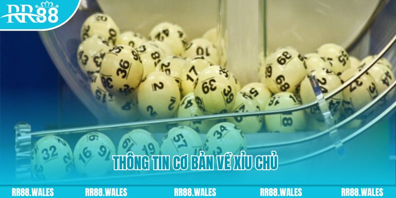 5mb bet baccarat long bảo là gì