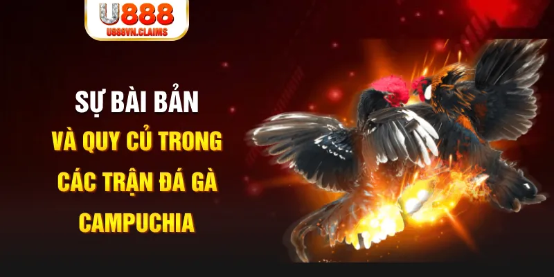 5mb bet baccarat lừa đảo như thế nào