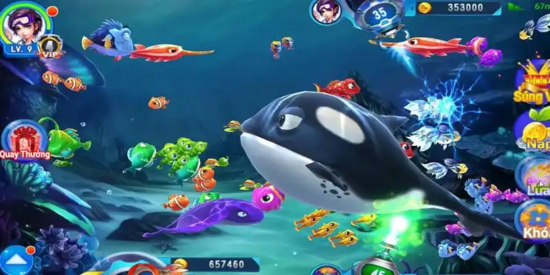 5mb bet truc tiep da ga