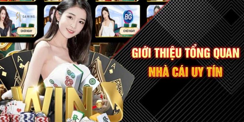 5mb bet đăng nhập roulette dễ thắng