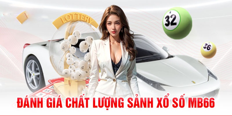 5mb bet 789bet có bao nhiêu sảnh game bài 3d ？